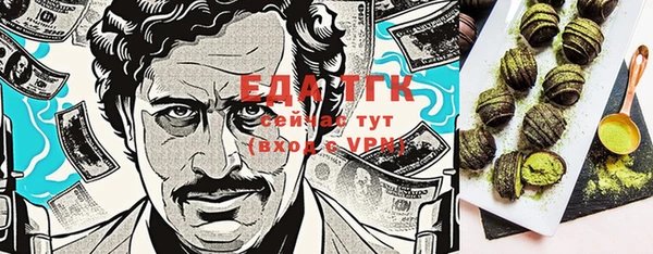 ECSTASY Алзамай