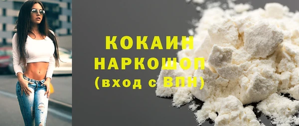 соль ск Алексин