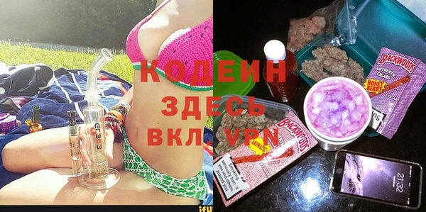 ECSTASY Алзамай
