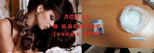 ECSTASY Алзамай