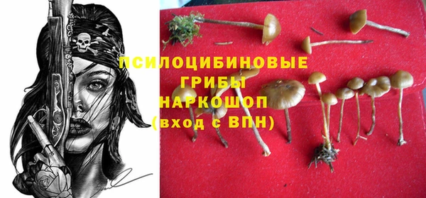 ECSTASY Алзамай