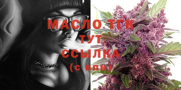 ECSTASY Алзамай