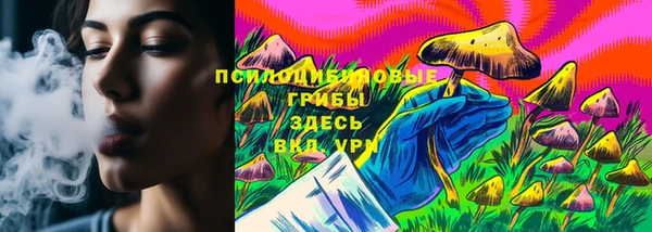 ECSTASY Алзамай