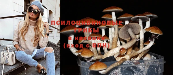 ECSTASY Алзамай