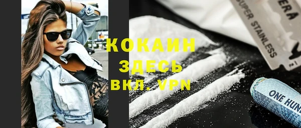 соль ск Алексин
